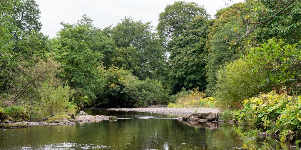 Campsie Glen Holiday Park Fintry Esterno foto